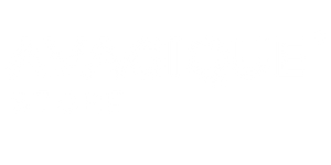 AVAGIQUE STORE  